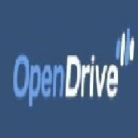 Open  Drive