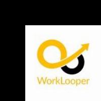 WorkLooper Consultants