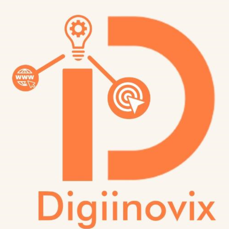 Digiinovix SEO Services