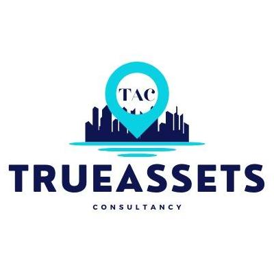 True Assets  Consultancy