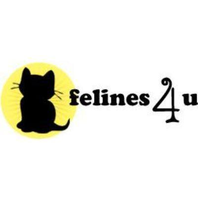 Feline 4us