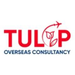 Tulip Overseas Consultancy