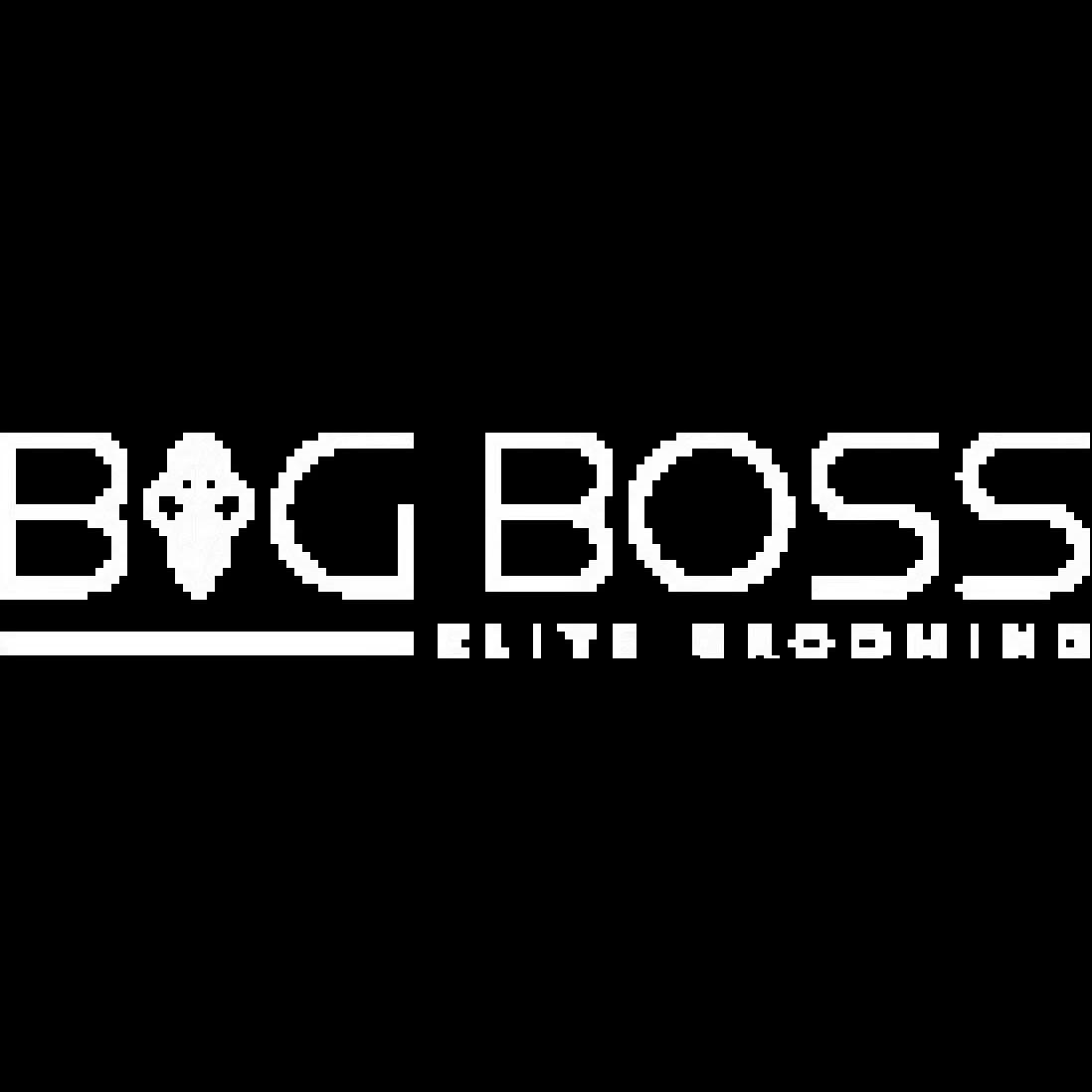 Big Boss Salon