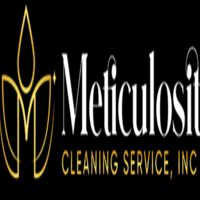 Meticulosity Cleaning